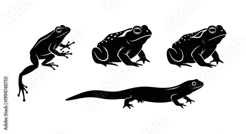 Black silhouette vector set of amphibians: frog, toad, and newt