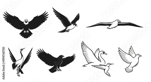 Collection of various flying and standing bird illustrations.