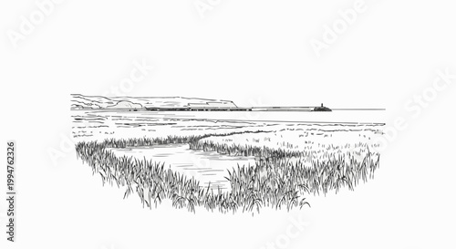 Sketch of a coastal marsh with reeds, water, and distant hills and pier