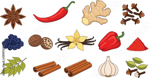 Hand drawn spice collection featuring cinnamon sticks garlic chili ginger star anise vanilla bean cloves and cardamom pods for culinary cooking and organic food design.