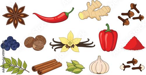 Hand drawn spice collection set featuring cinnamon sticks garlic chili ginger star anise vanilla bean cardamom cloves and bell pepper for culinary cooking design.