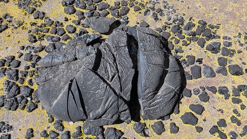 Large cracked lava rock on yellow lichen ground, dramatic volcanic surface detail for geology, nature backgrounds, abstract textures and rugged landscape themes.