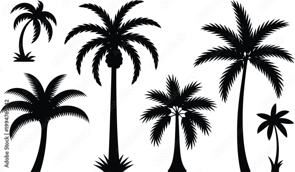 Fototapeta premium Collection of black palm tree silhouettes