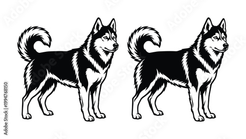 Siberian Husky dog vector illustrations, black and white husky breed mascot set, standing sled dog silhouettes for pet branding and logo design