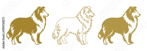 Golden collie dog vector silhouettes, elegant rough collie breed line art set, standing sheepdog illustrations for pet branding and kennel logos