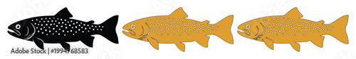 Vintage trout fish vector set, hand drawn salmon and trout silhouettes, black and gold fish illustrations for fishing logos and seafood branding