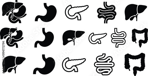 Human digestive system, major organs including the esophagus, stomach, liver, gallbladder, pancreas, and intestines. 