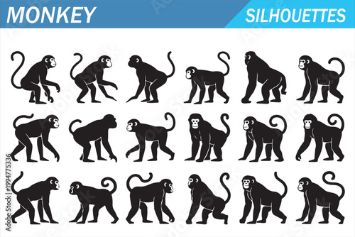Tropical primate silhouette icons set with black monkey animal symbols and poses