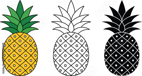 Pineapple icon color outline and silhouette set ananas vector illustration tropical fruit design isolated on white background