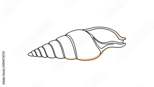 Simple line drawing of a spiral seashell with light pink accents representing marine life and ocean nature themes.
