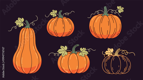 Collection of five vibrant orange pumpkins of different sizes and shapes on a dark background for fall season themes.