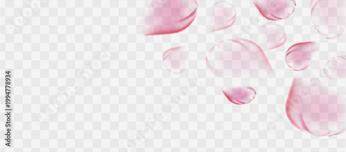 Pink rose or sakura petals. Spring Flowers. Romantic background. Vector illustration