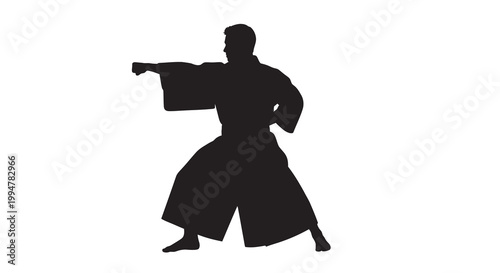 Silhouette of a martial artist demonstrating a powerful karate strike
