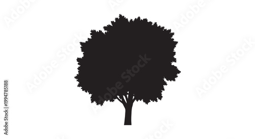 Silhouetted tree with dense foliage against a plain white background