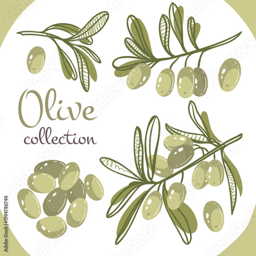 Green olive collection
