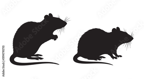 Two black silhouettes of rats are shown in different poses
