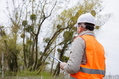 Принти на полотні Forester or environmental engineer, checking tree health