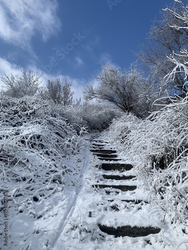 Snow-covered stone steps lead through a winter landscape with frosty trees beneath a bright blue sky.