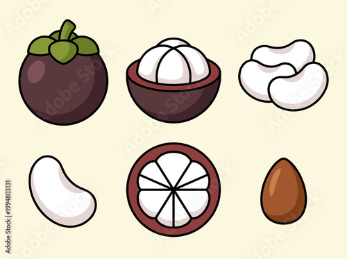 Purple Mangosteen Fruit Set with Whole Fruit, Half Cut Showing White Segments and Seed, Tropical Queen of Fruits Icons for Healthy Food Design