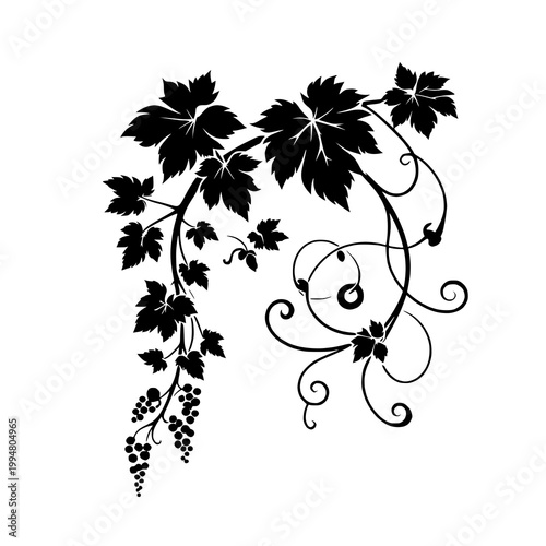 palm tree silhouette