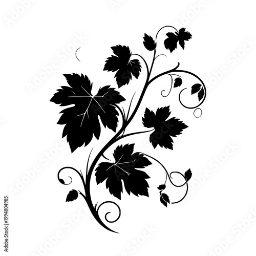 black and white floral background
