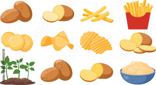 Flat cartoon illustration of potatoes and derivatives including fries chips wedges mashed potato plant grid white background