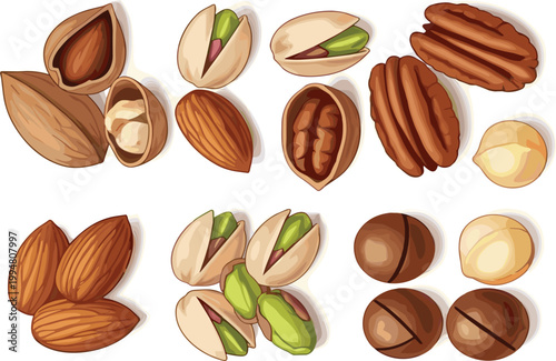 Assorted nuts set including almonds pistachios pecans and hazelnuts isolated on white background for healthy food vector illustration