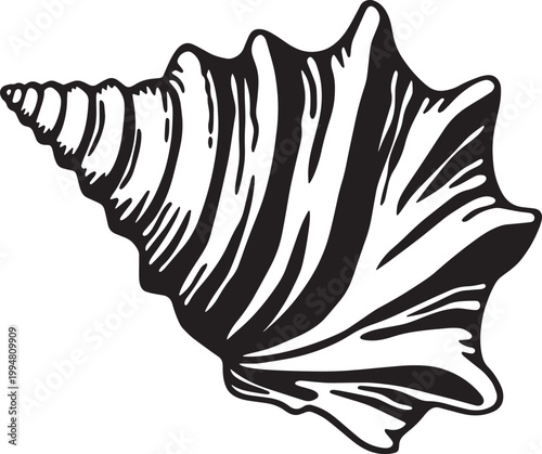 Black and white illustration of a conch shell