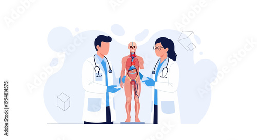 Doctors Examining Human Anatomy Model, Medical Education and Healthcare Concept