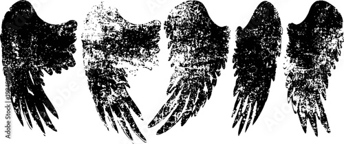 black bird wings silhouettes in different flying and resting positions isolated on white background