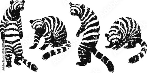 set of striped raccoon dog silhouettes in various posing, standing and sitting isolated on white