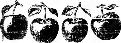 grunge textured apples with leaves in black and white vintage