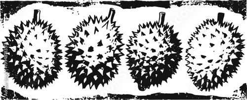 four durian fruits illustration with spiky texture and stem, tropical exotic fruit drawing
