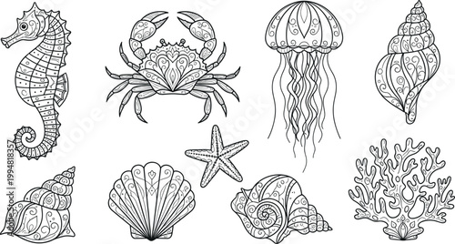 Marine life decorative line art icon set with seahorse crab jellyfish shells starfish and coral ocean elements collection