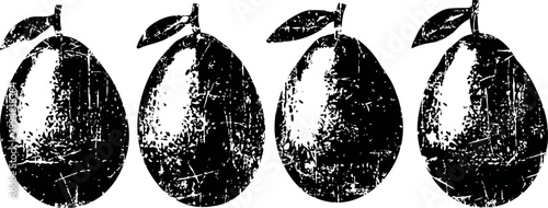 Four vintage mango illustrations with leaves in black and white woodcut