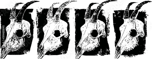 vintage mountain goat skulls with prominent curved horns in black and white artistic