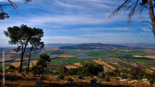 Valokuva Panoramic view of Jezreel Valley farmland patchwork with pine tree in foreground