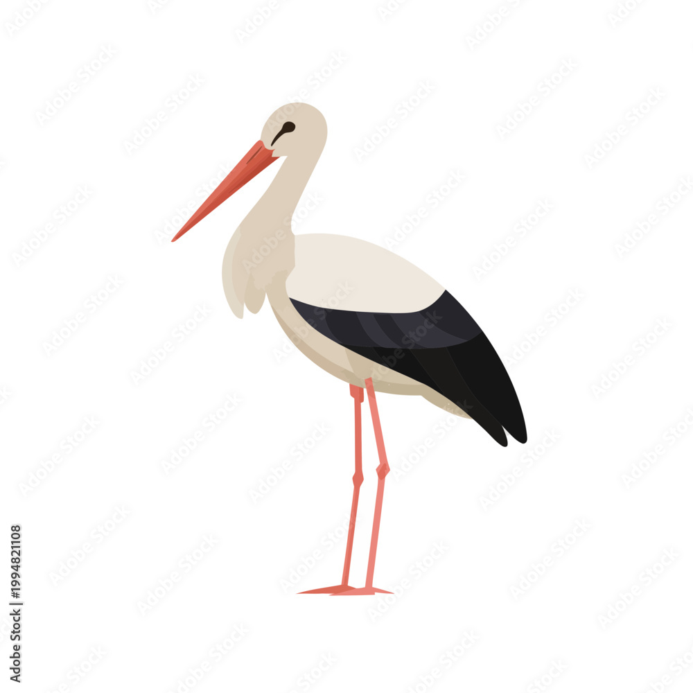 Fototapeta premium A Stork Standing Isolated on a Transparent Background