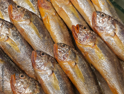 Close-up of fresh large yellow croakers neatly arranged