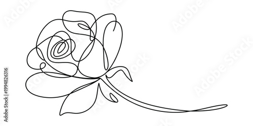 A single continuous line drawing of a blooming rose flower with elegant swirling petal patterns