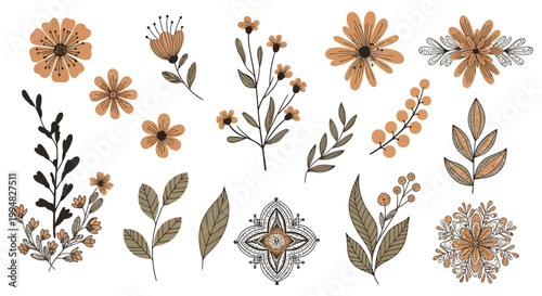 Boho Floral Ornament Vector Set, Hand Drawn Decorative Elements, Rustic Wedding Design Collection