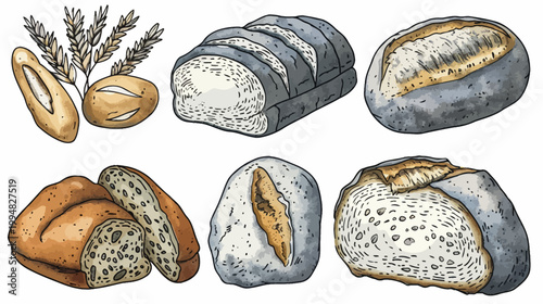 Array of bread and wheat, illustration with varied crusts and interior textures