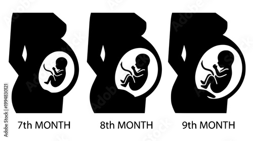 3rd Trimester Pregnancy Health and Care Concept Flat Vector