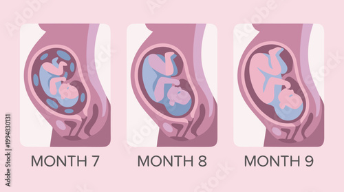 Continuous Line Art of 3rd Trimester Pregnant Woman Silhouette