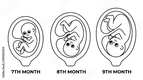 3rd Trimester Pregnant Woman Relaxing at Home Flat Vector