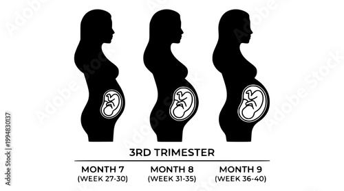 3rd Trimester Pregnancy Journey Concept Boho Line Art Vector
