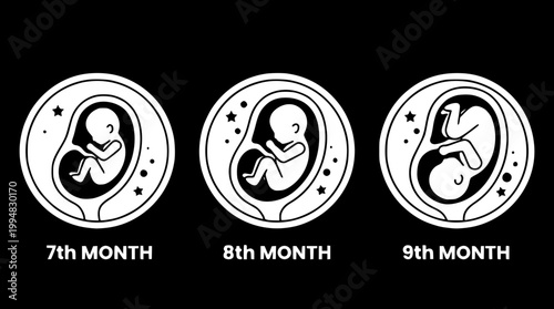 Minimalist 3rd Trimester Maternity Portrait Abstract Vector