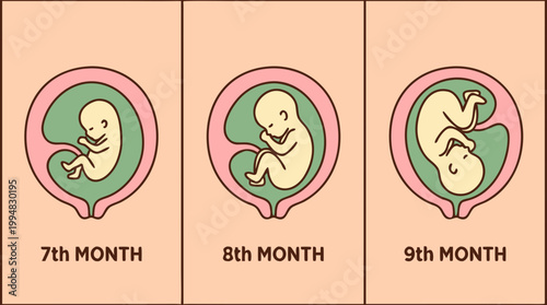 3rd Trimester Pregnant Woman Doing Prenatal Yoga Vector