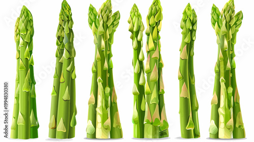 Group of seven green asparagus spears standing vertically on a white background