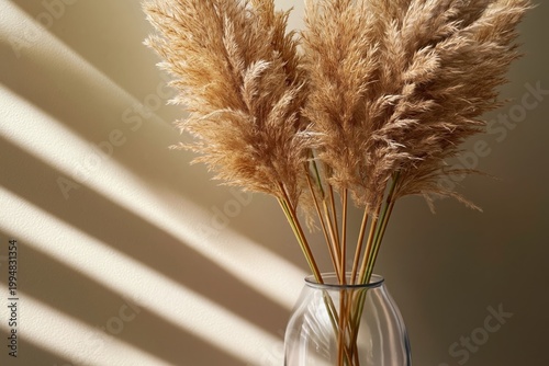 Pampas Grass Stalks Arranged in a Clear Vase With Natural Light and Shadows